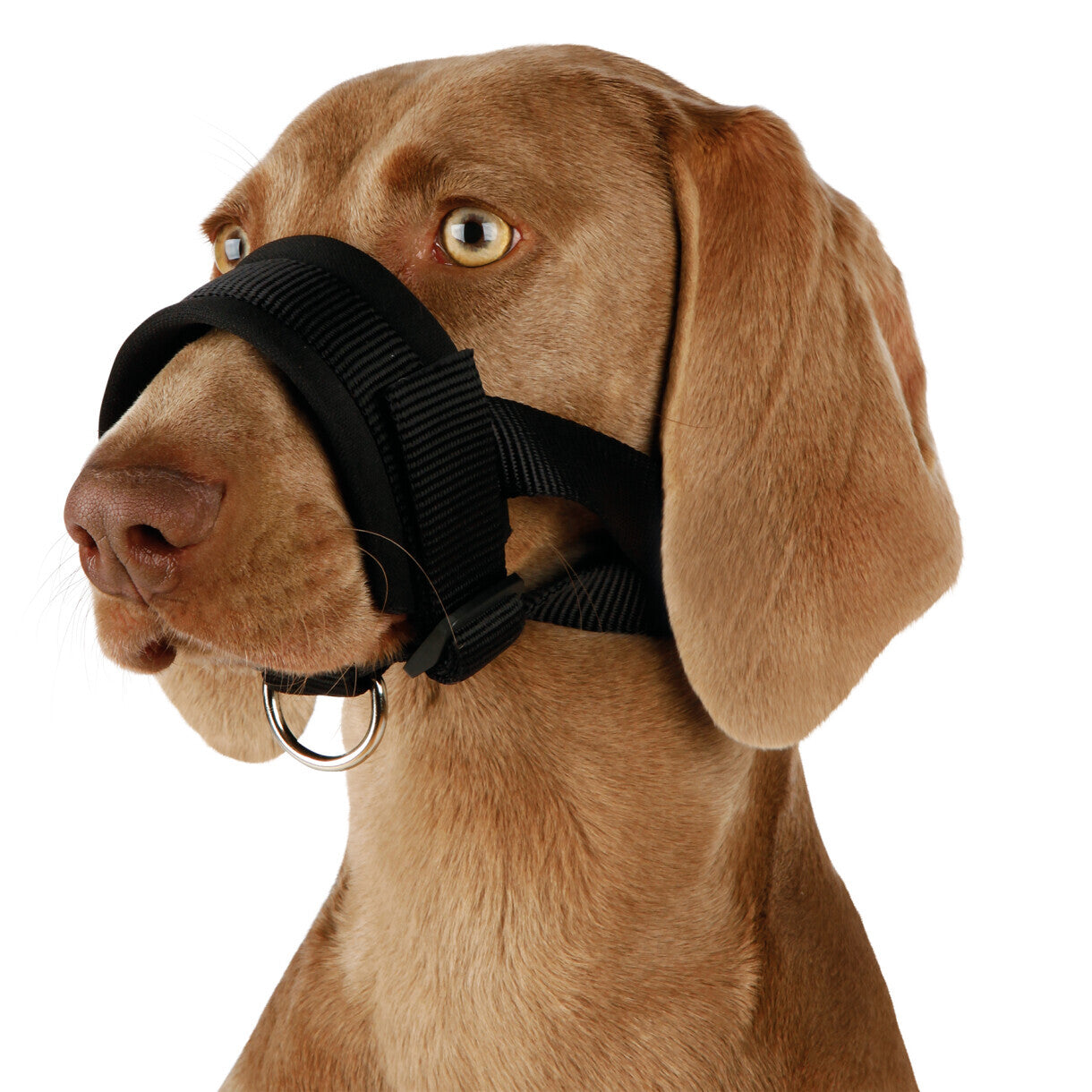 Trixie Nylon-Mundkurvestrop