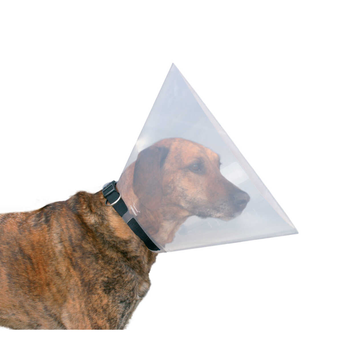 Trixie Beskyttelseskrave til hunde i plast