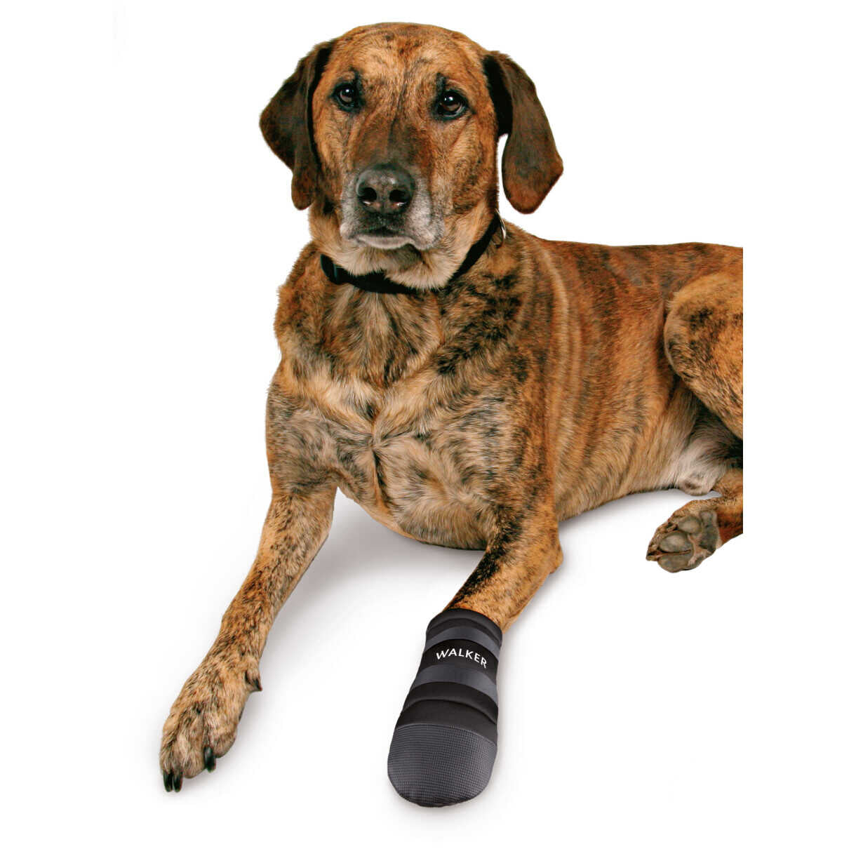 2 stk Trixie Hundestøvle Walker