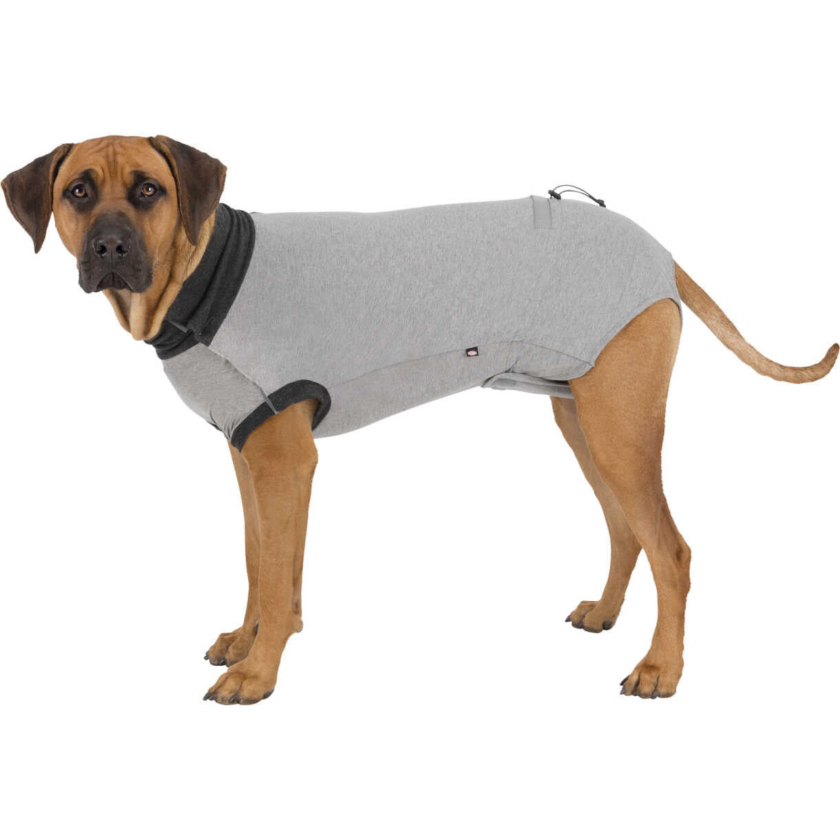 Trixie beskyttelse dragt til hunde