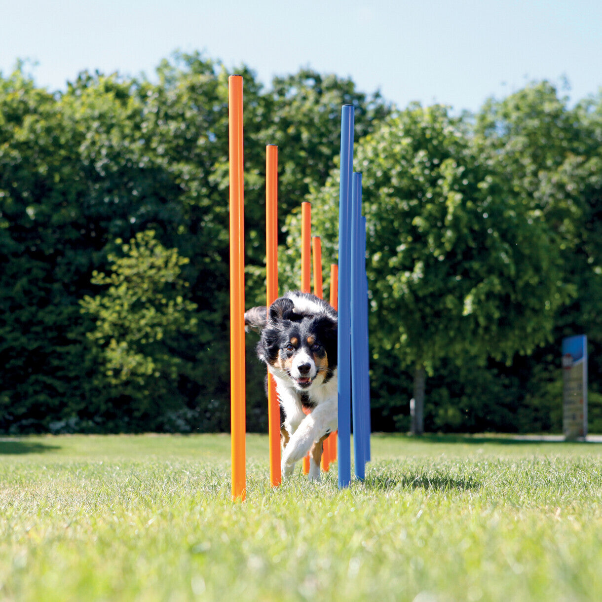 Trixie 12 stk Hunde Agility slalom pinde 115 cm