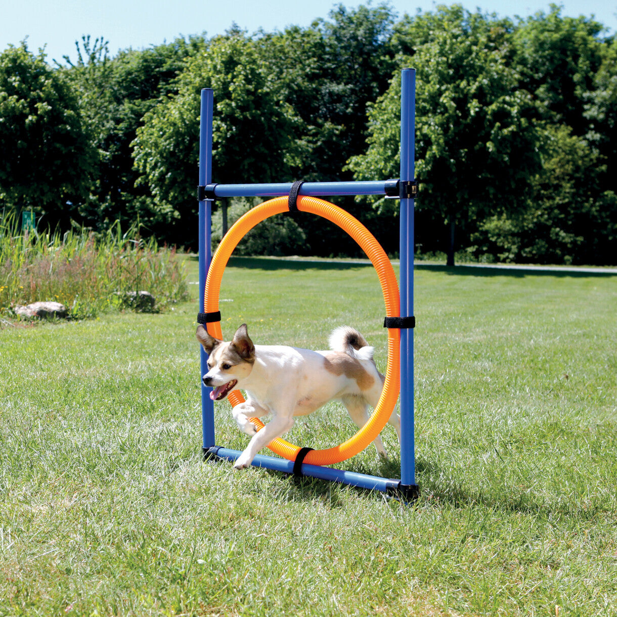 Trixie Hundetræning - Agility ring ø 65 cm