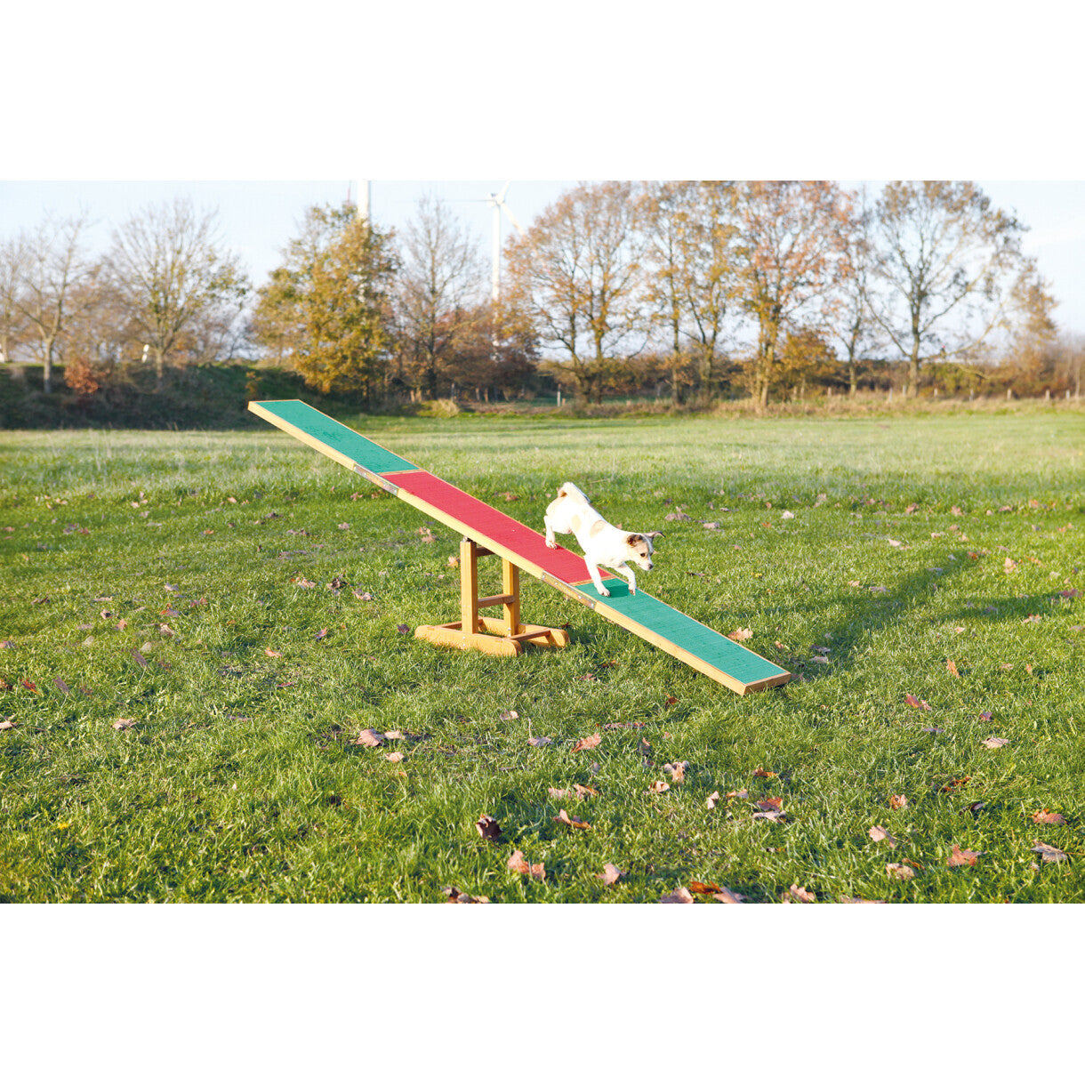 Trixie Hundetræning - Agility vippe 300 x 34 x 54 cm