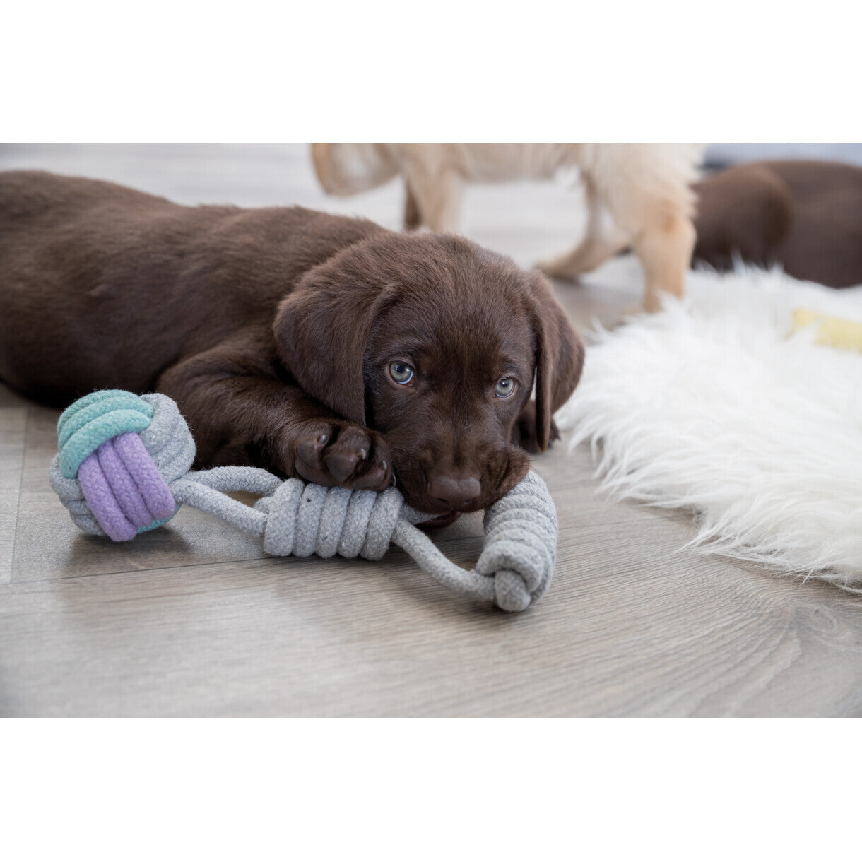 Trixie hundelegetøj Rebbold med håndtag - ø6 cm - 23 cm