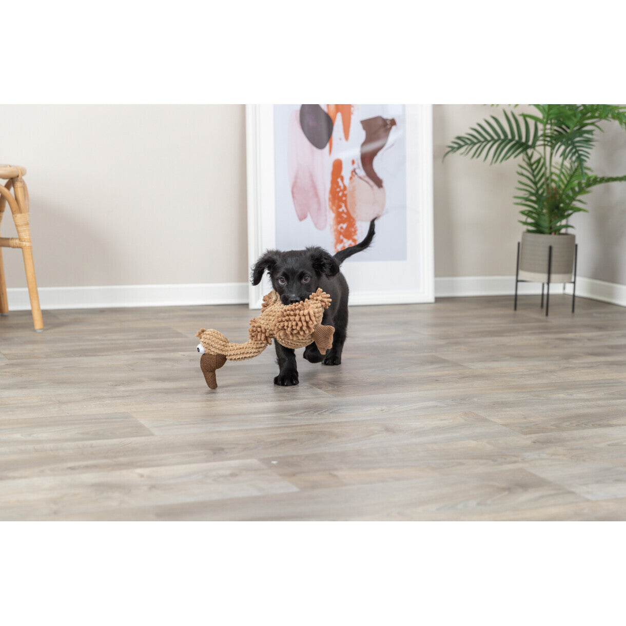 Trixie Hundelegetøj Grib i plys med lyd