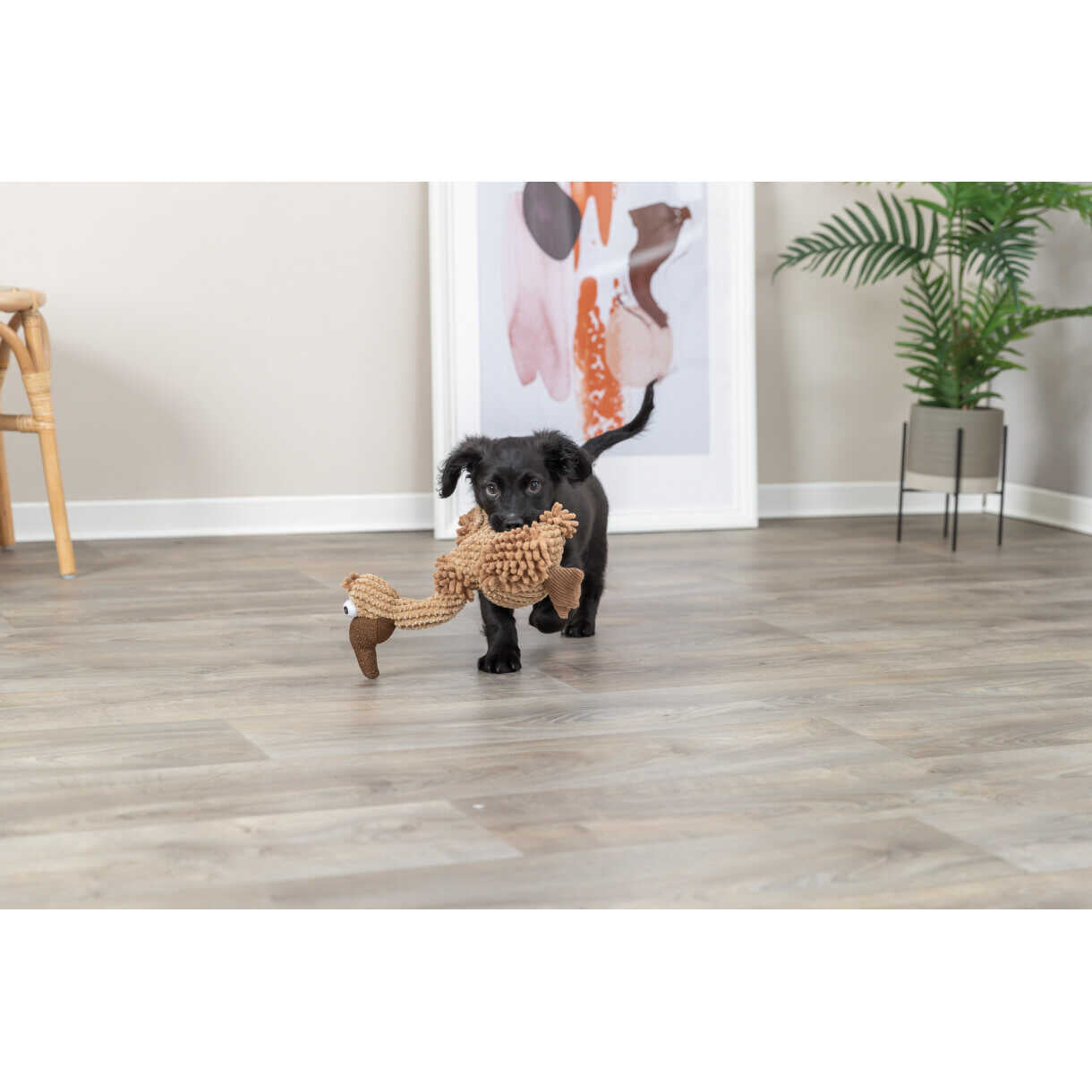 Trixie Hundelegetøj Grib i plys med lyd