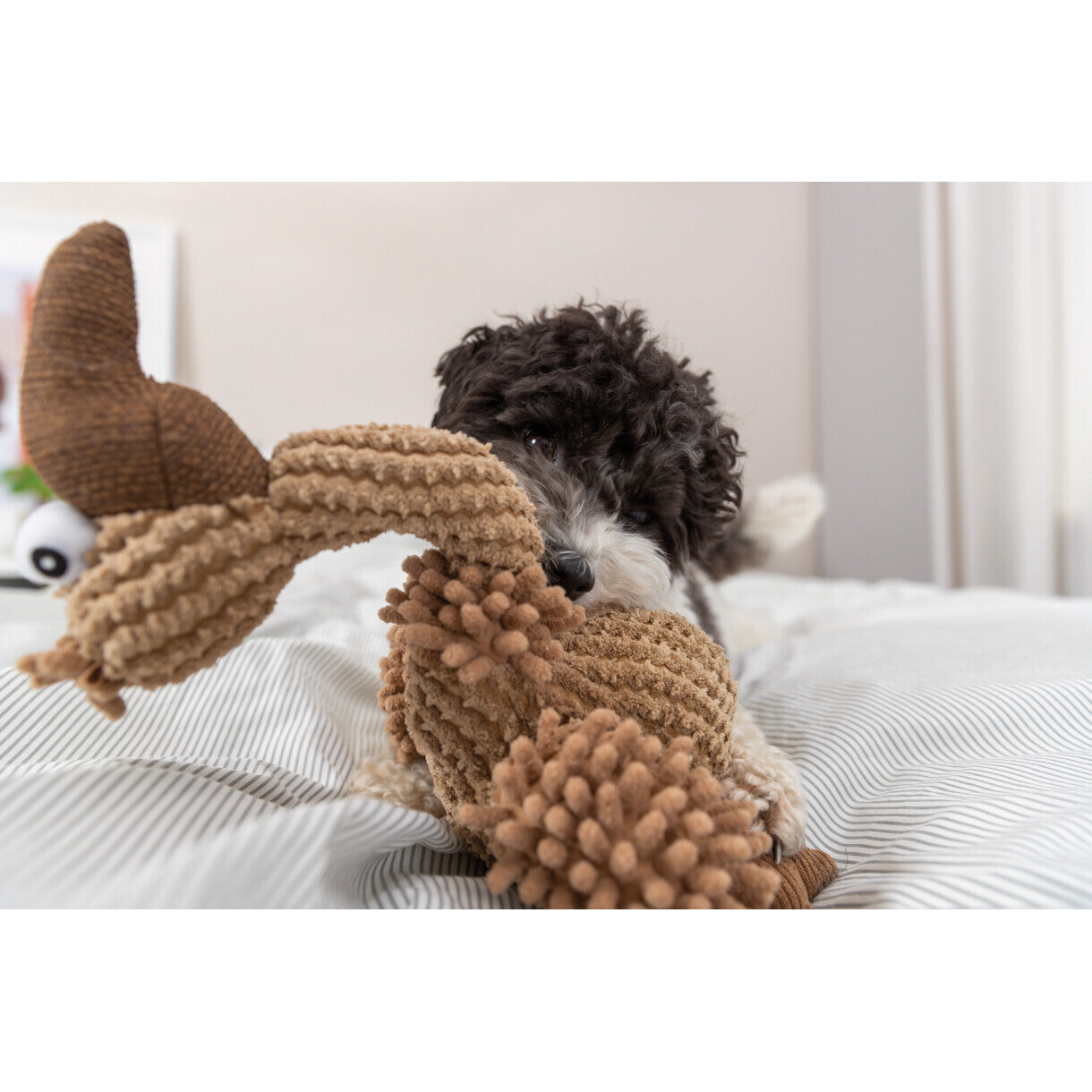 Trixie Hundelegetøj Grib i plys med lyd