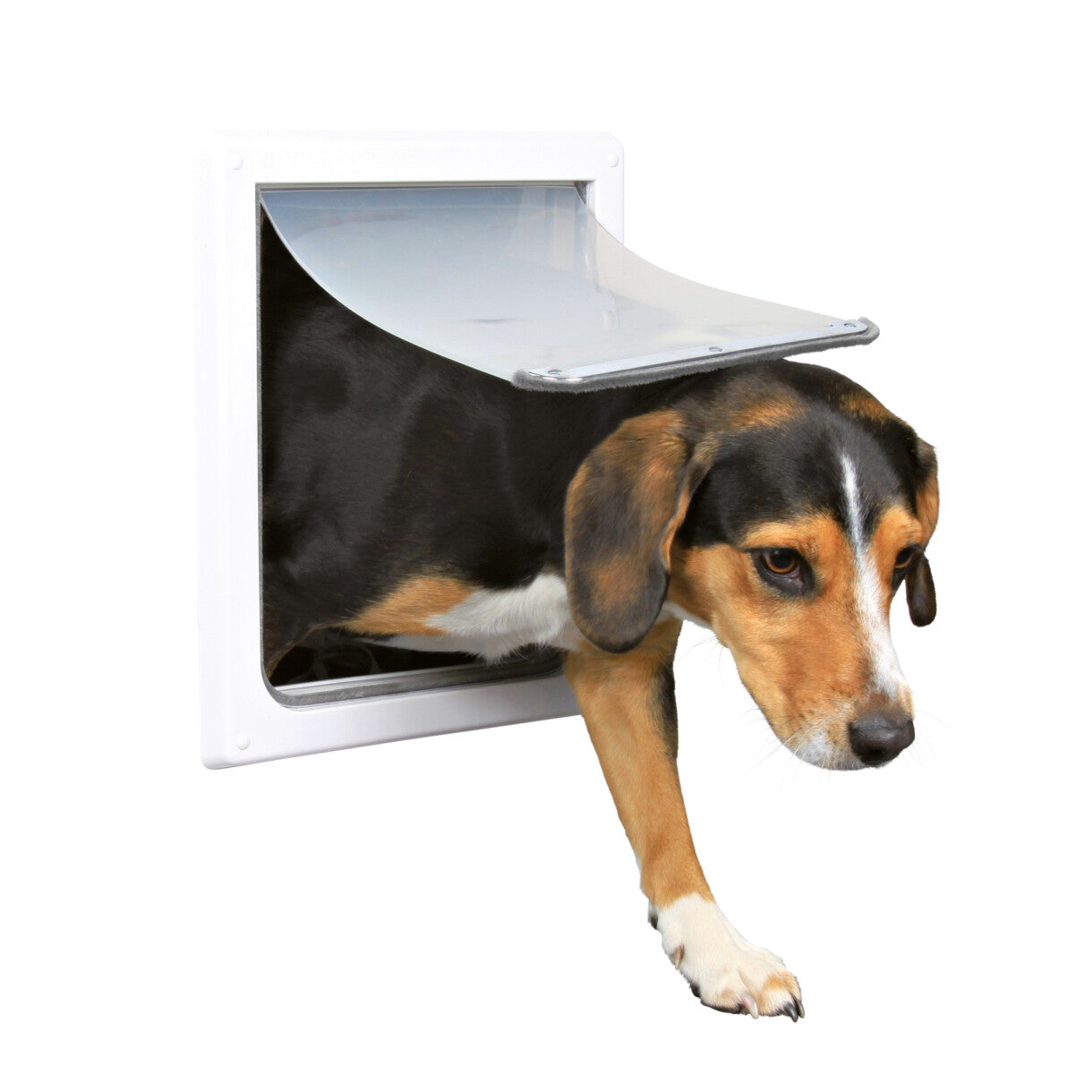 Trixie 2 vejs hundedør - hvid farve - 30 x 36 cm