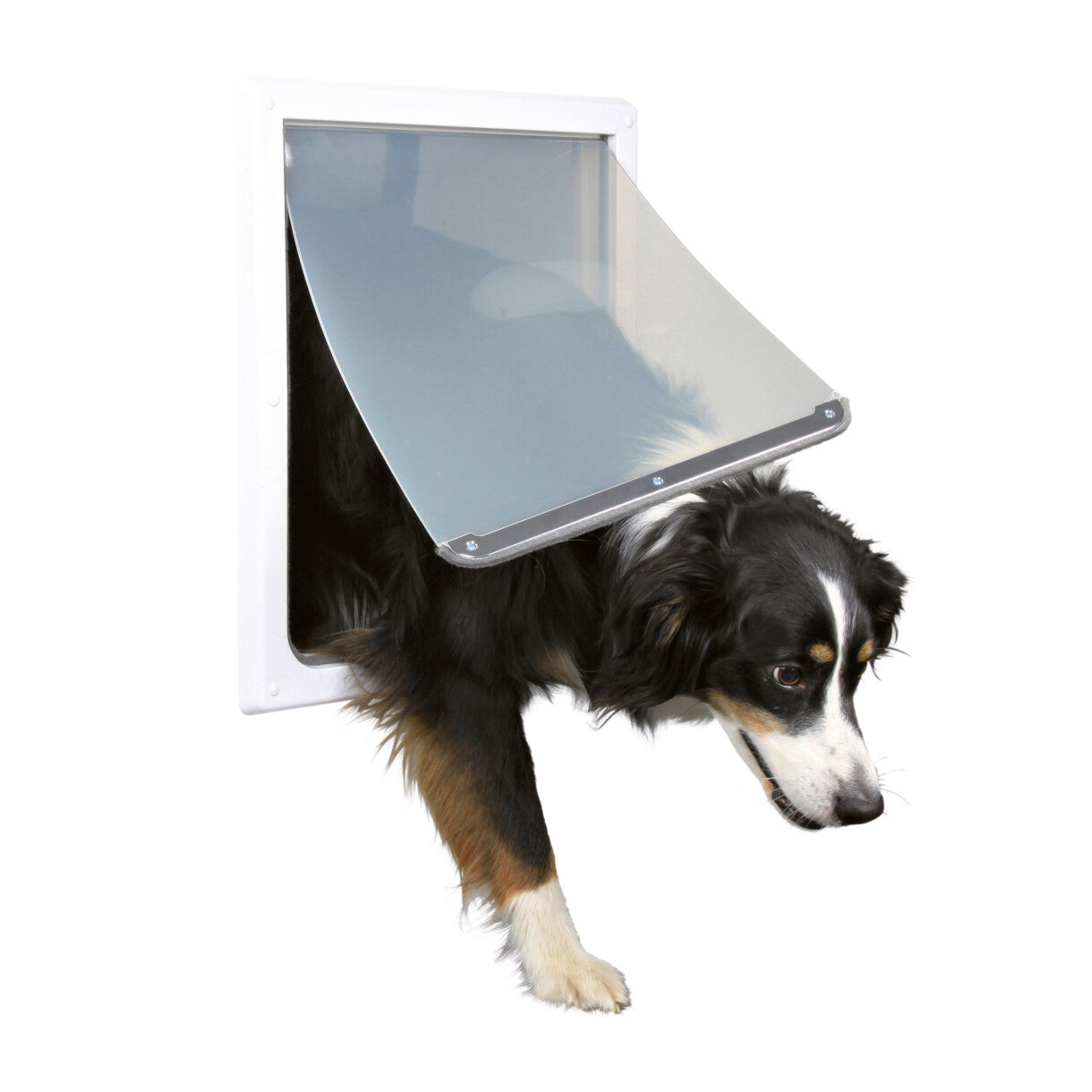 Trixie 2 vejs hundedør hvid farve - 39 x 45 cm