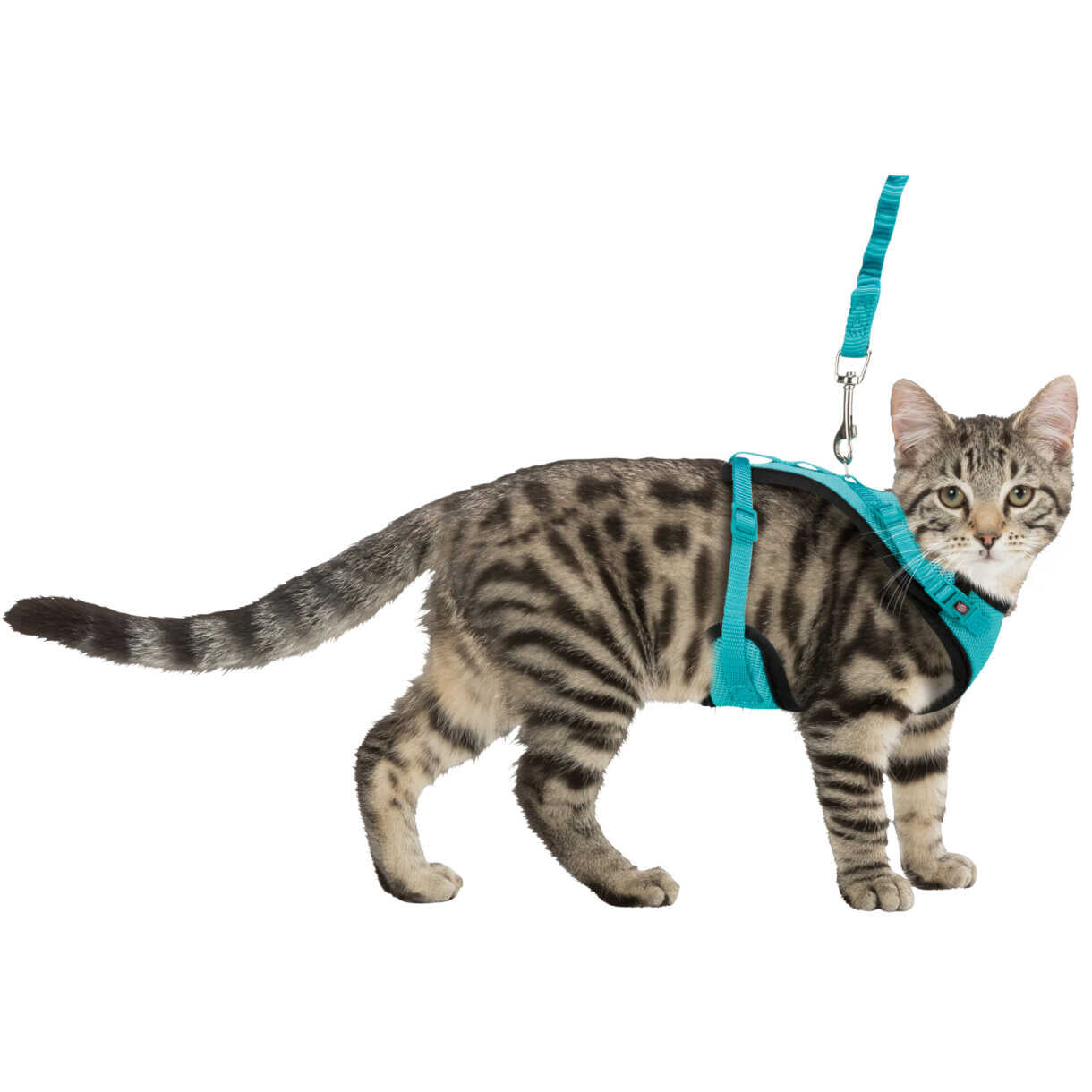 Trixie katte Y-sele med elastik line 39 - 60 cm 10 mm 1.00 m assorteret farver