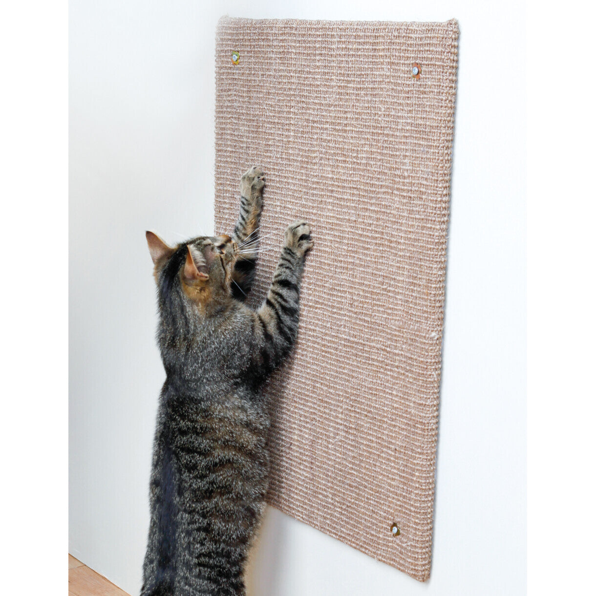 Trixie Katte kradsemåtte til væg 50 x 70 cm - brun