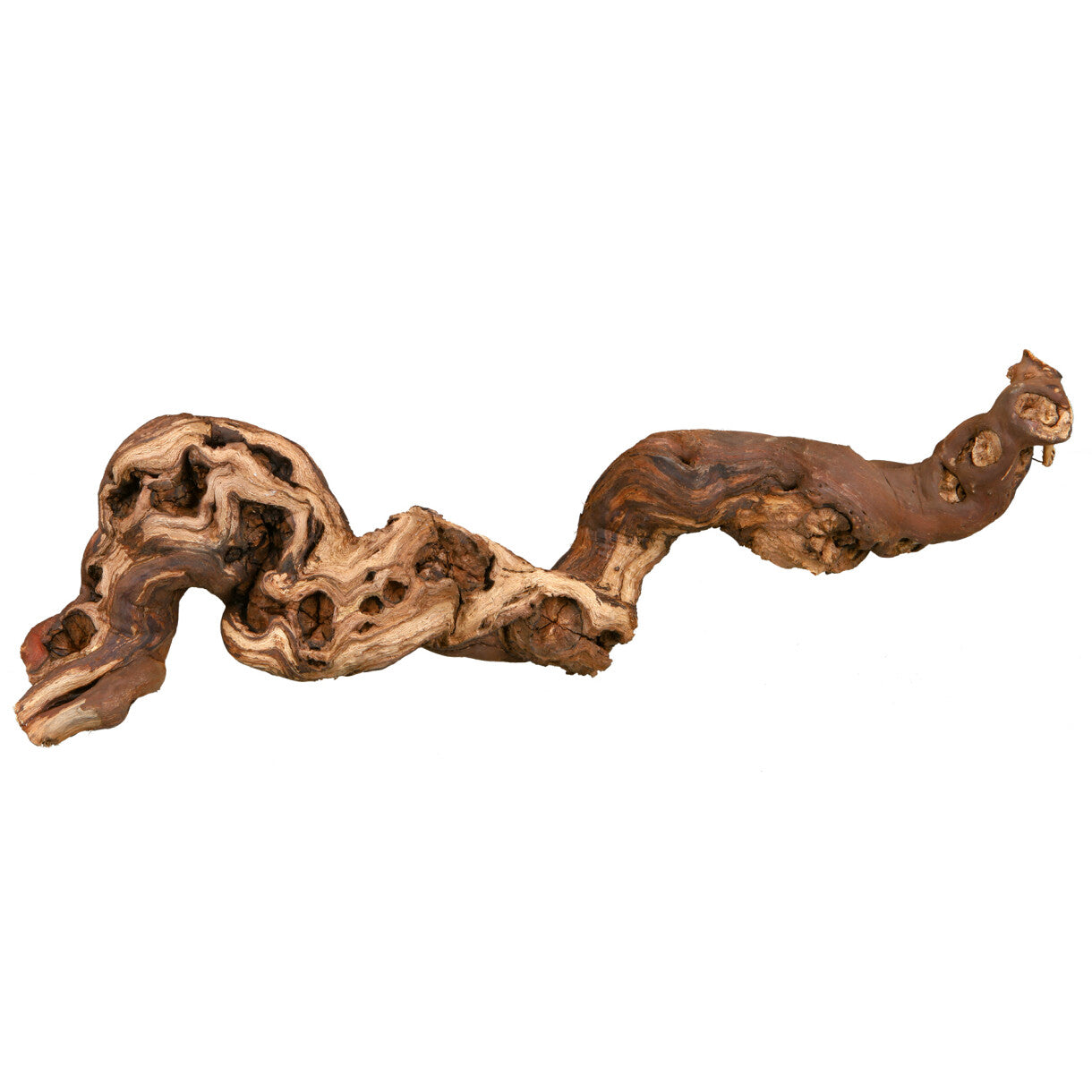 Trixie sandblæst Vingren til reptiler, fugle, kaniner og små gnavere