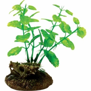 4FISH akvarie plasticplante Kranie og planter 6,5 x 6,3 x 11 cm