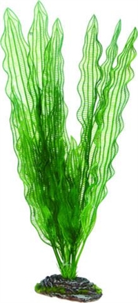 Akvarie plasticplante Aponogeton, 39 cm