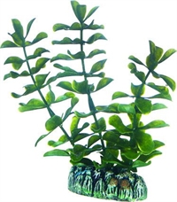 Akvarie plasticplante Bacopa, 13 cm