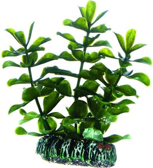 Akvarie plasticplante Bacopa, 7 cm