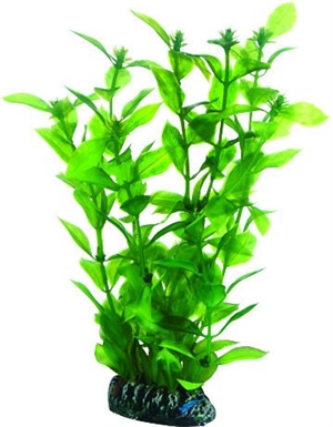 Akvarie plasticplante Hygrophila, 20 cm