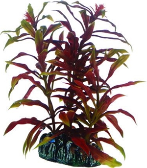 Akvarie plasticplante Nesaea, 13 cm