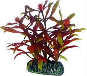Akvarie plasticplante Nesaea, 7 cm