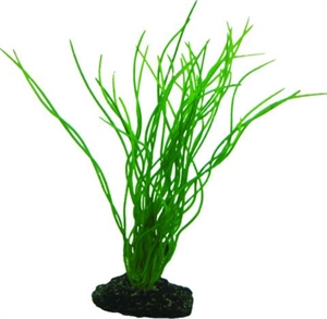 Akvarie plasticplante Sagittaria, 20 cm