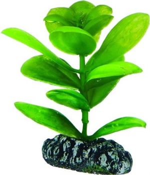 Akvarie plasticplante Saururus, 7 cm