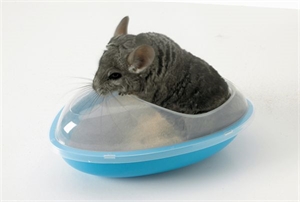 Chinchilla Bad 26 x 23 x 15 cm