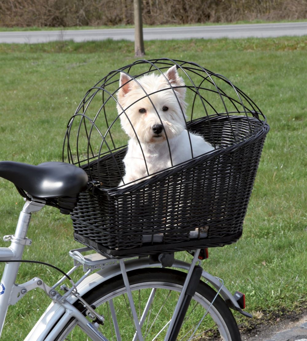 Cykelkurv hunde