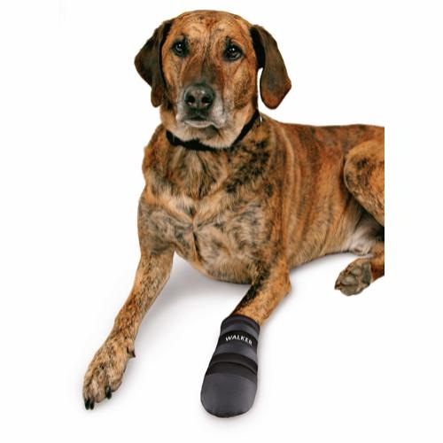 Hundesko og fodbeskyttelse