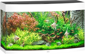 Juwel Akvarie Vision 180 liter LED hvid 92 x 41 x 55 cm