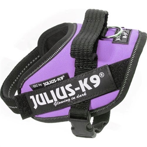 Julius K9 IDC - Hundesele - Bryst størrelse 40 til 53 cm lilla Str. Mini-Mini