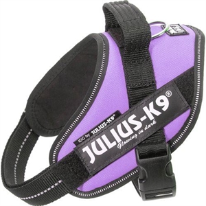 Julius K9 IDC - Hundesele - Bryst størrelse 49 til 67 cm lilla Str. Mini