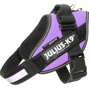 Julius K9 IDC - Hundesele - Bryst størrelse 58 til 76 cm lilla Str. 0