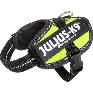 Julius K9 IDC - hundesele - Bryst størrelse 29 til 36 cm neon grøn Str. Baby 1