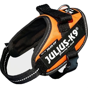 Julius K9 IDC hundesele Str. Mini-mini - XSmall - brystmål fra 40 til 53 cm Neon Orange