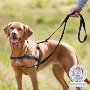 Trixie hunde træningssele brystmål fra 45 til 70 cm 25 mm sort